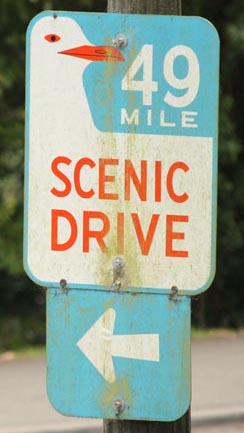49 mile drive google map
